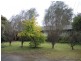 10 Carlisle Street, Ingleburn NSW 2565