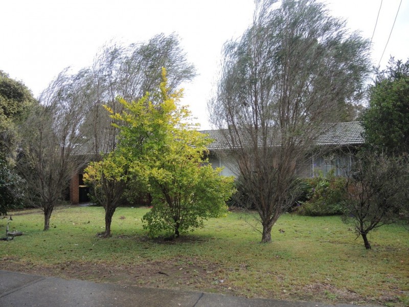 10 Carlisle Street, Ingleburn NSW 2565