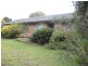10 Carlisle Street, Ingleburn NSW 2565