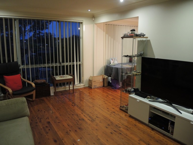 15 Goodsell Street, Minto NSW 2566