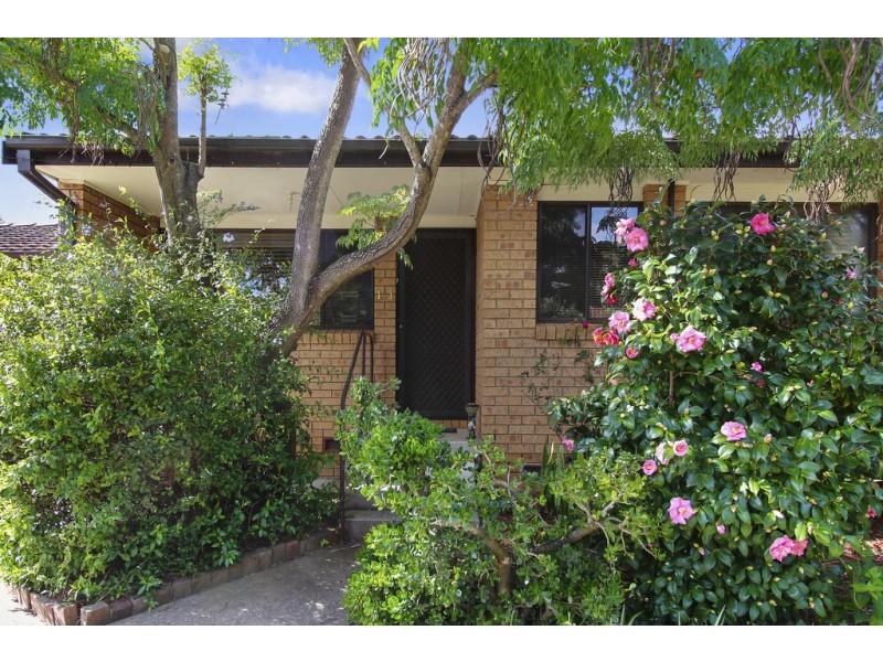 11/224 Harrow Road, Glenfield NSW 2167