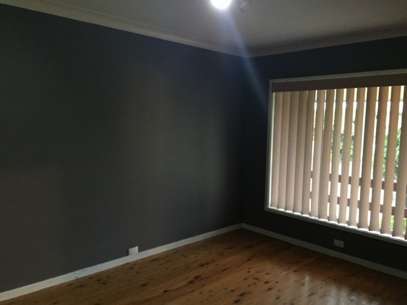 18 Phyllis street, Minto NSW 2566