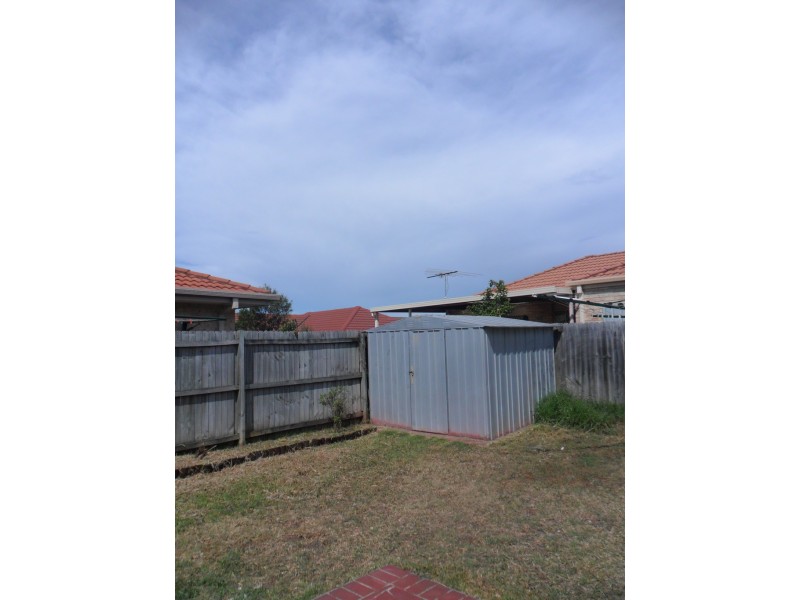11 Jenner Street, Minto NSW 2566