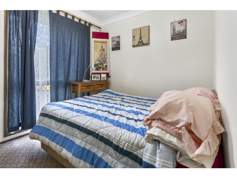 37 Haultain Street, Minto NSW 2566