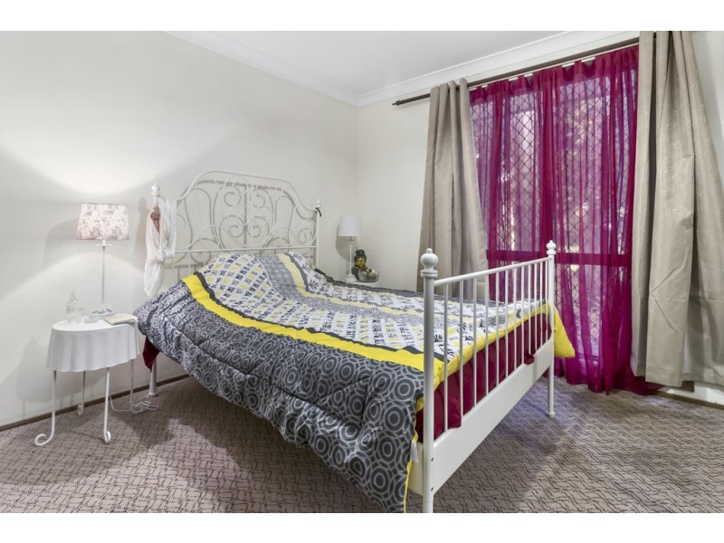 37 Haultain Street, Minto NSW 2566