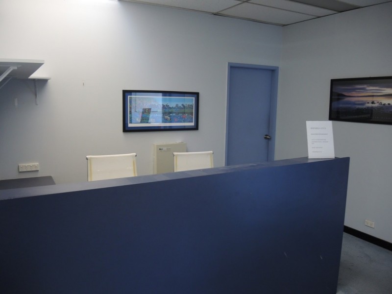 2/3 Oxford Road, Ingleburn NSW 2565