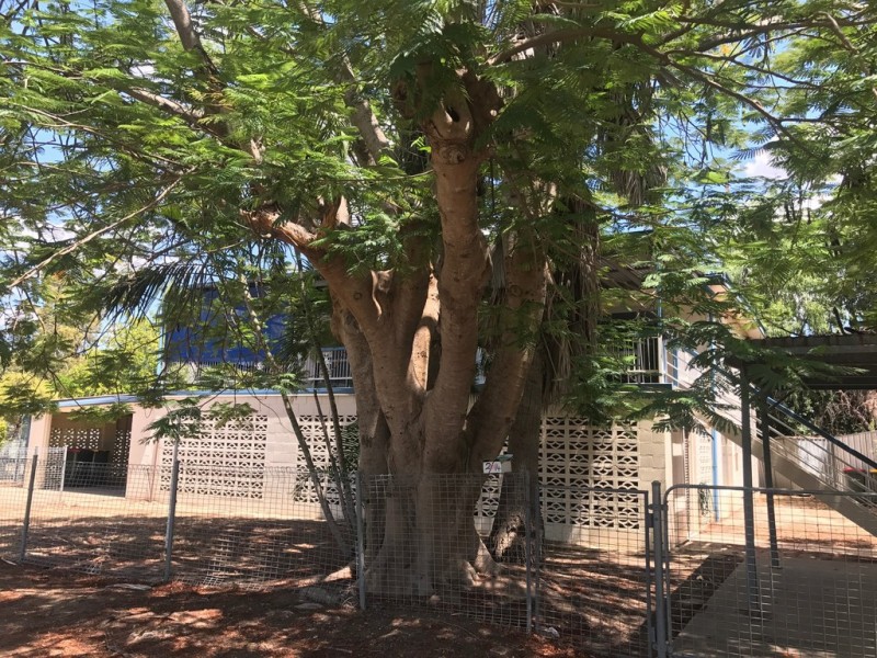 14 Gladstone Street, Emerald QLD 4720