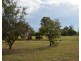 Emerald QLD 4720