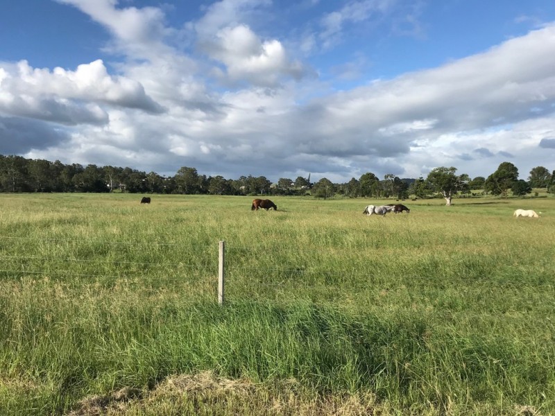 Yatala QLD 4207