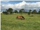 Yatala QLD 4207