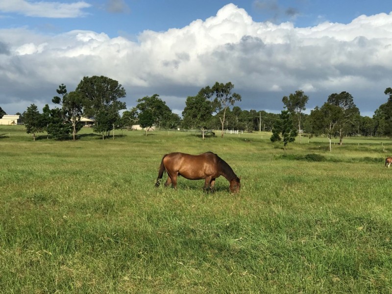 Yatala QLD 4207