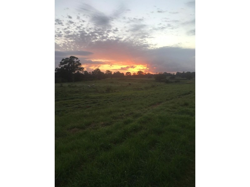 Yatala QLD 4207