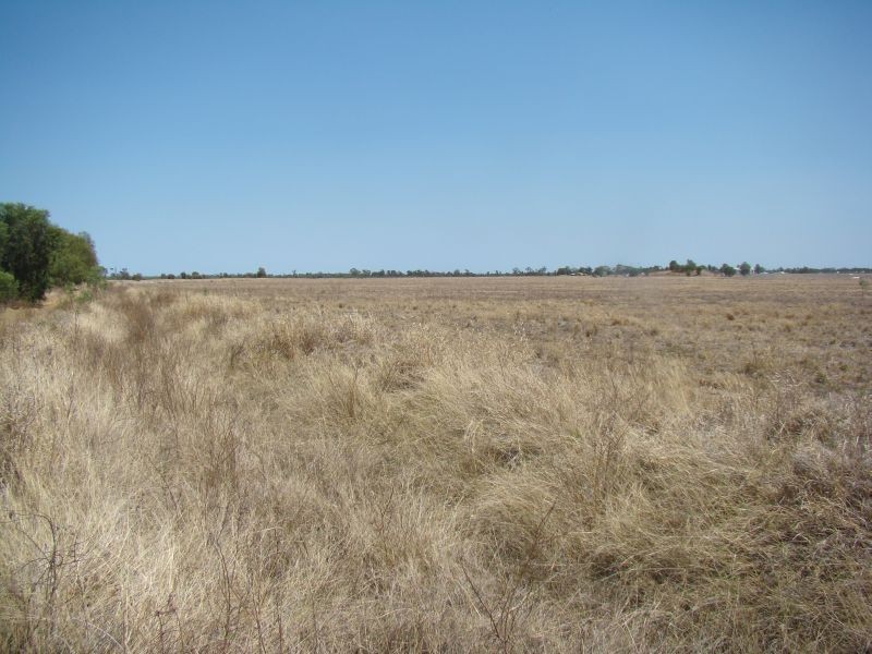 Emerald QLD 4720