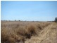 Emerald QLD 4720