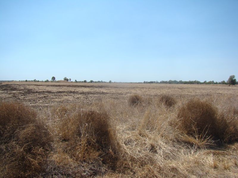 Emerald QLD 4720