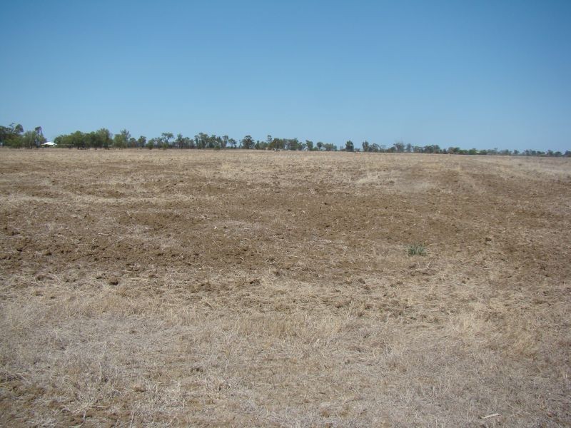 Emerald QLD 4720