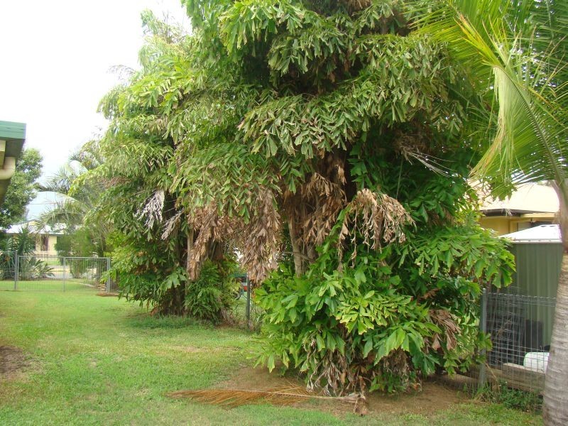 Emerald QLD 4720
