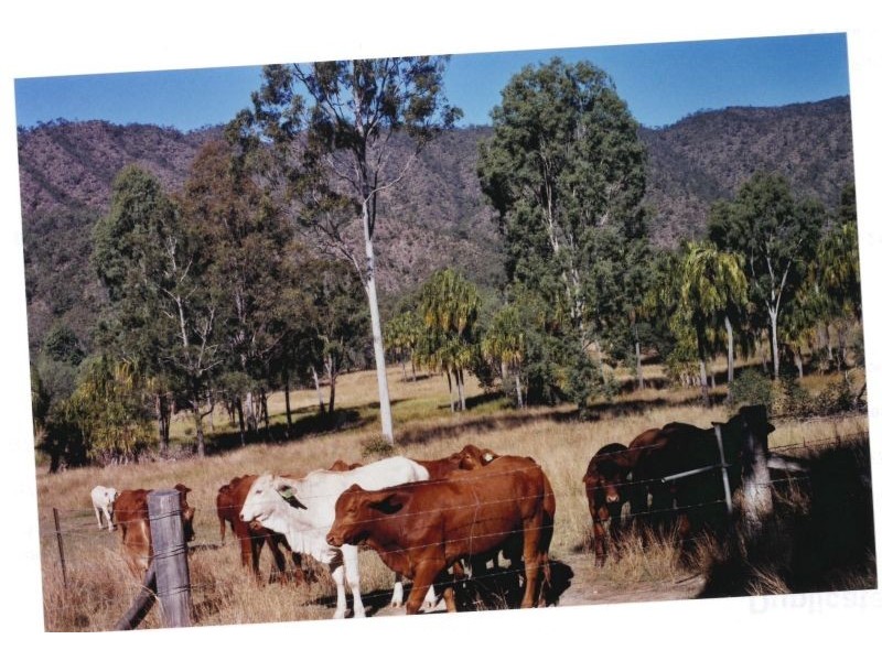 Widgee QLD 4570