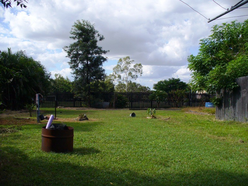 Dingo QLD 4702