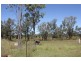 Sapphire QLD 4702