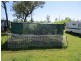 Sapphire QLD 4702