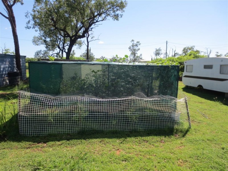 Sapphire QLD 4702