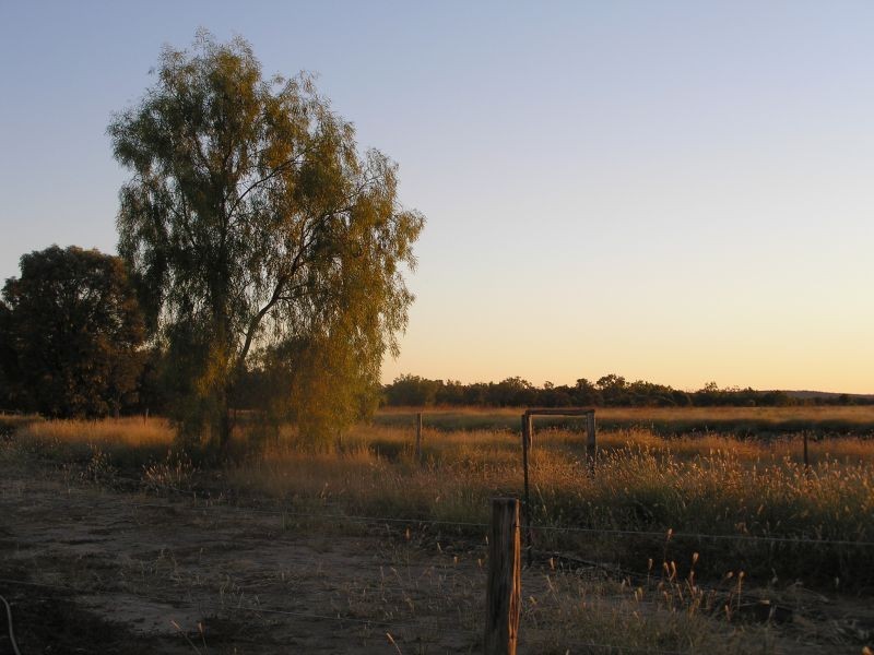 Emerald QLD 4720