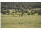 Comet QLD 4702