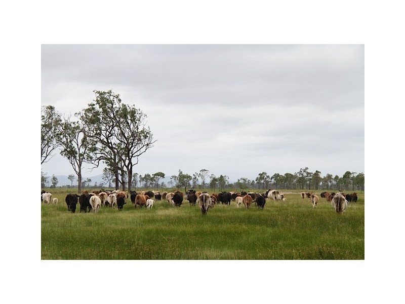 St Lawrence QLD 4707