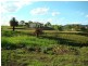 62-64a Dame Street, Springsure QLD 4722