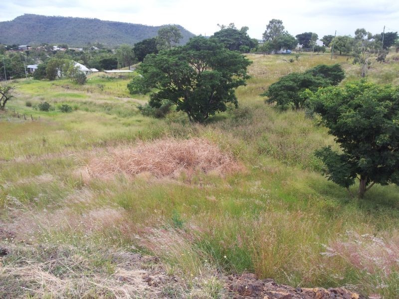 62-64a Dame Street, Springsure QLD 4722