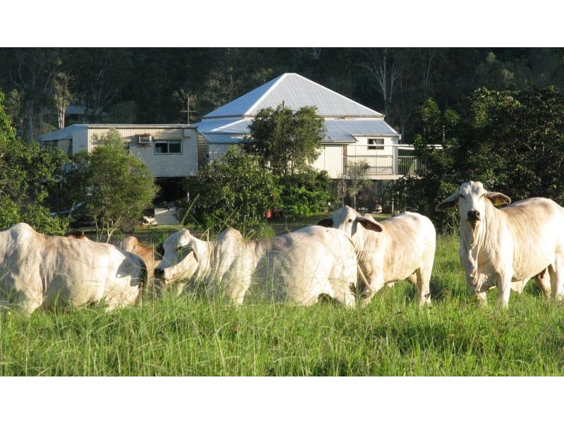 Sarina QLD 4737