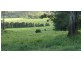 Sarina QLD 4737