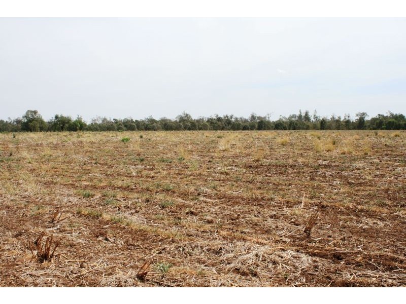 Lot 16 Capricorn Highway, Comet QLD 4702