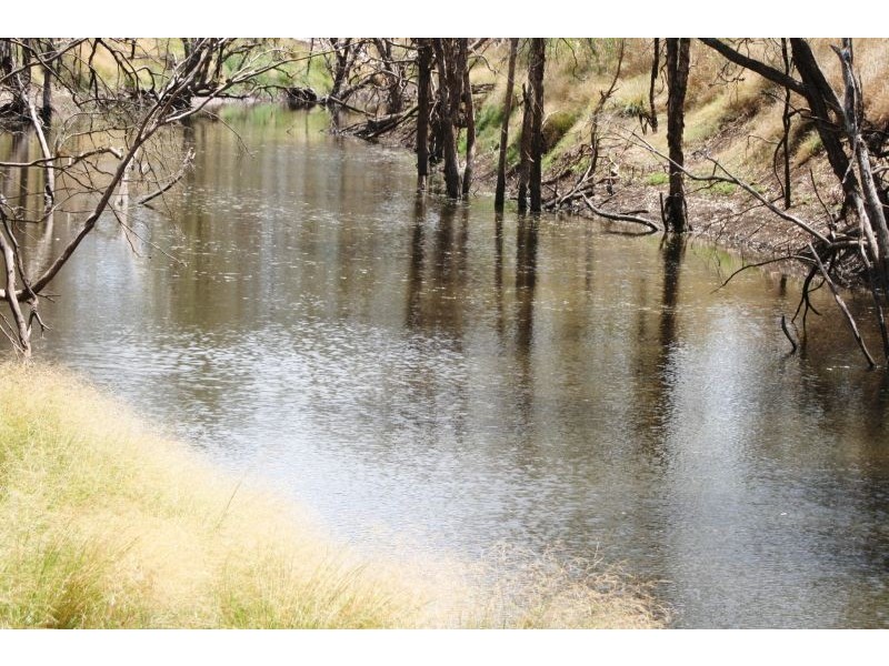 Lot 16 Capricorn Highway, Comet QLD 4702