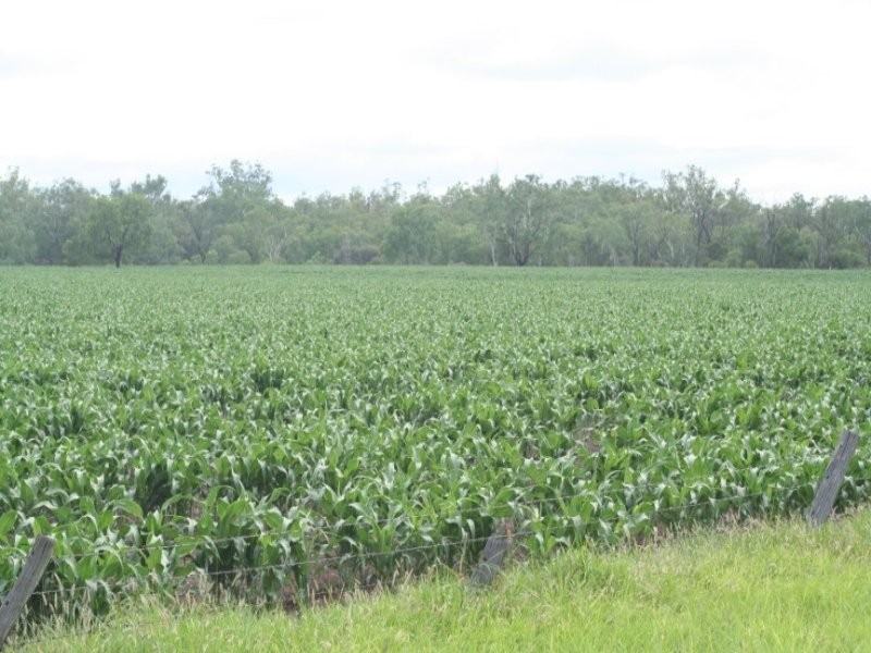 Lot 16 Capricorn Highway, Comet QLD 4702