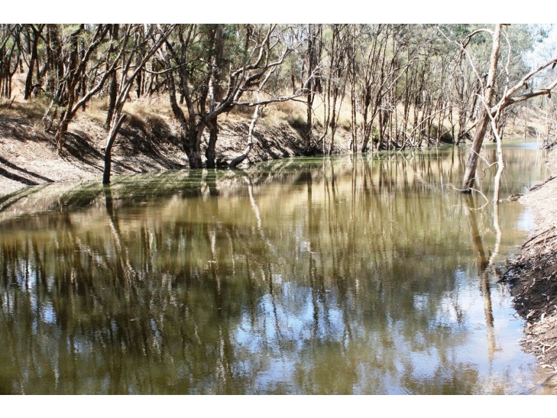 Lot 16 Capricorn Highway, Comet QLD 4702