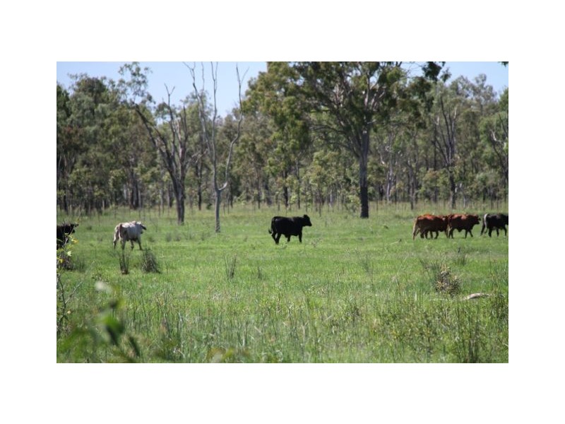 St Lawrence QLD 4707