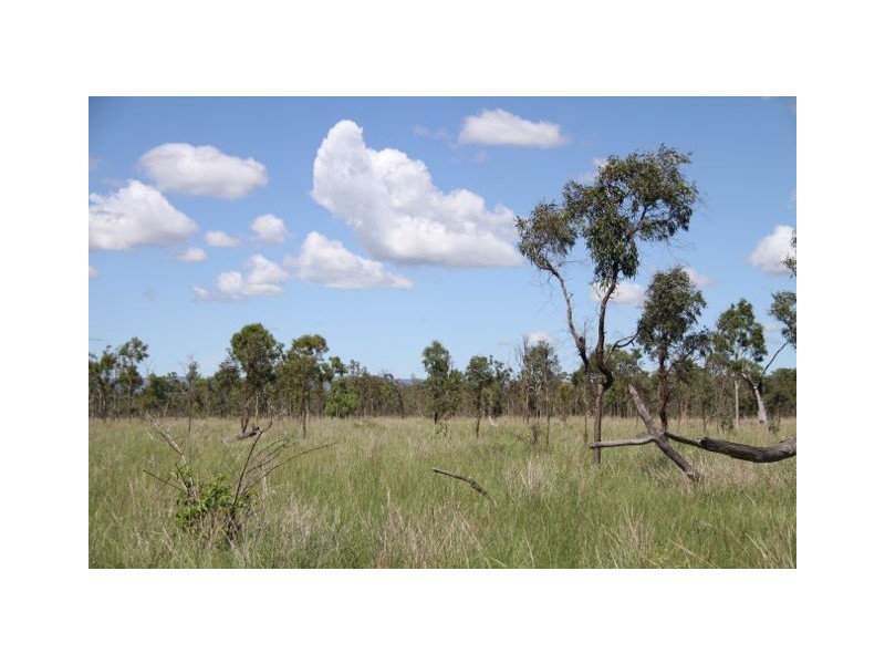 73 Nimmitabel Road, St Lawrence QLD 4707