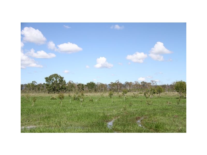 73 Nimmitabel Road, St Lawrence QLD 4707