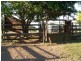 Koumala QLD 4738