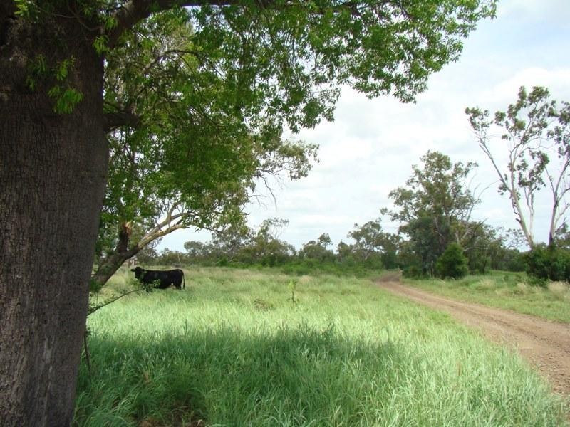 Capella QLD 4723