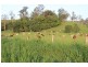 Mirani QLD 4754