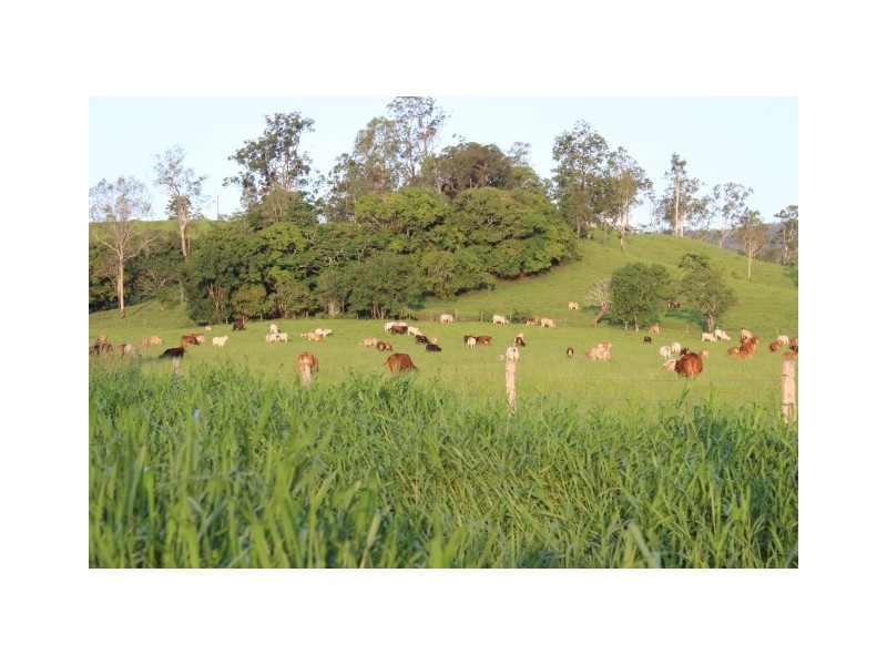 Mirani QLD 4754