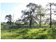 Mirani QLD 4754