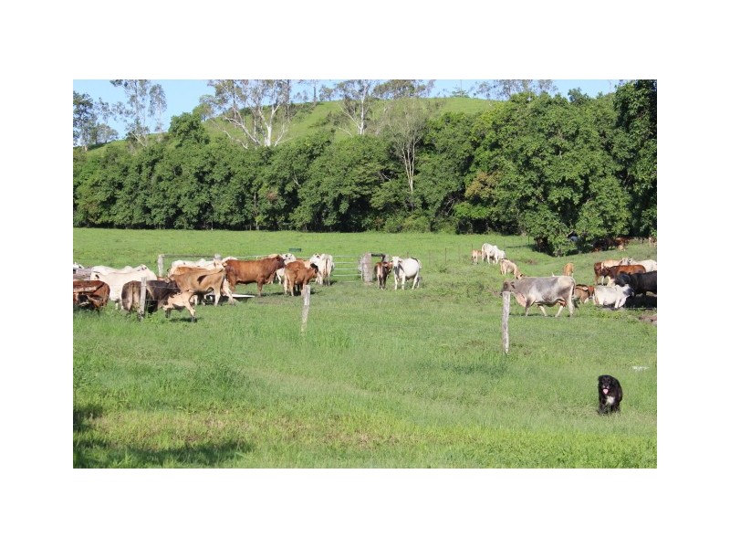 Mirani QLD 4754
