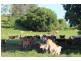 Mirani QLD 4754