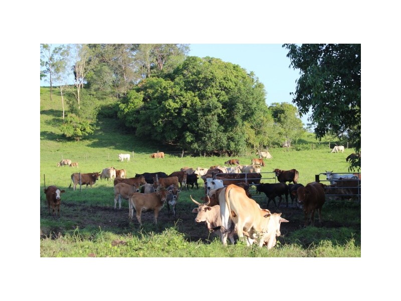 Mirani QLD 4754