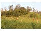 Mirani QLD 4754