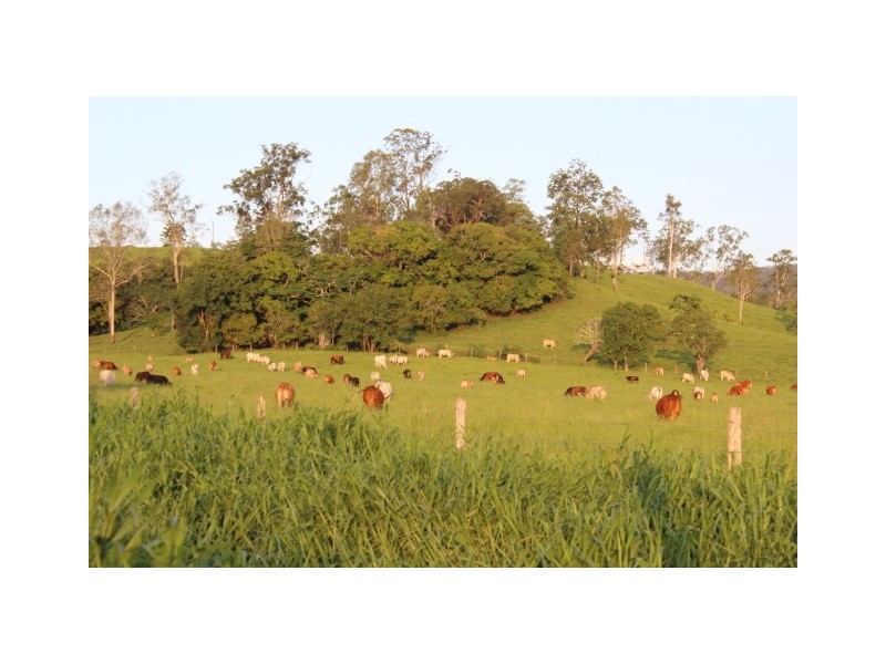 Mirani QLD 4754